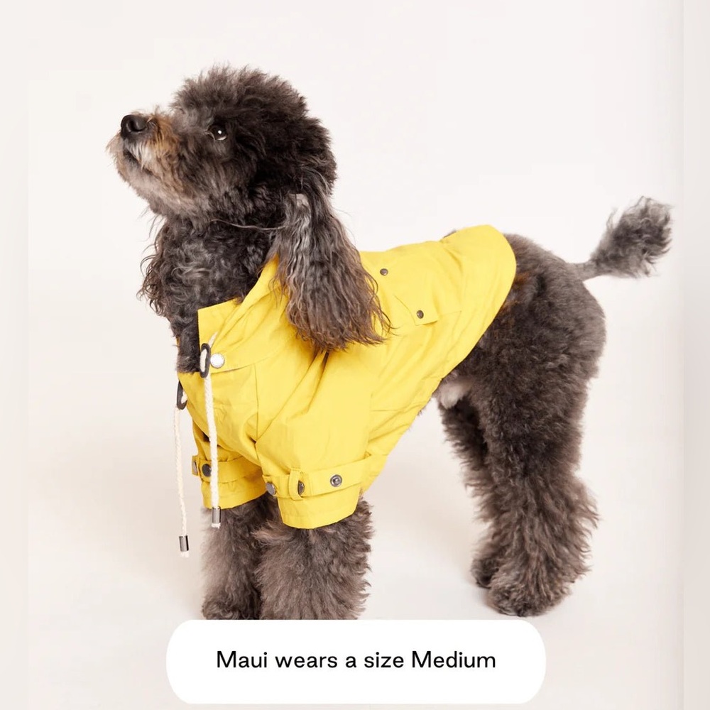 Max Bone Talon Yellow Dog Raincoat